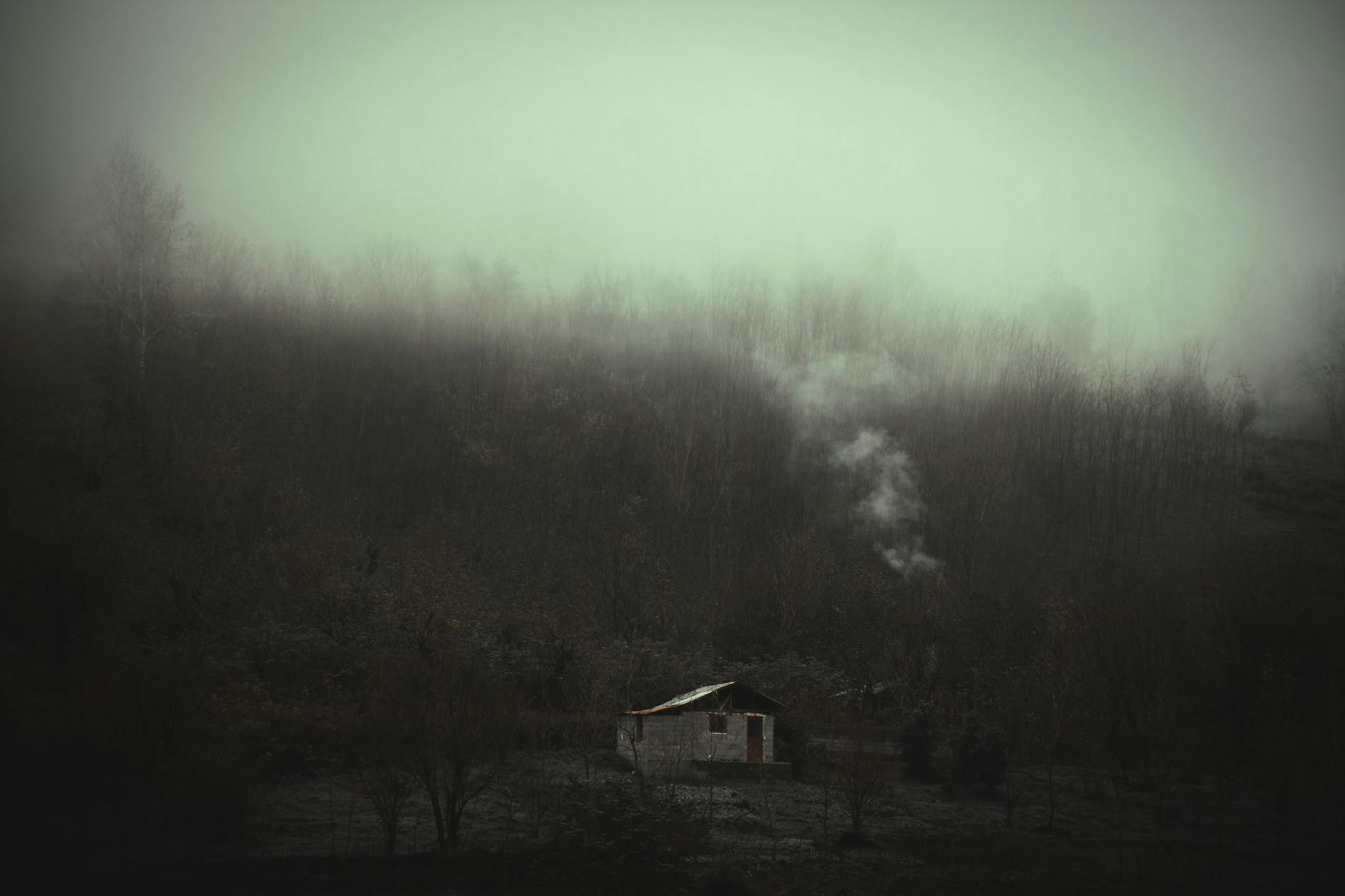 Waldhütte Kogelalm — Willkommen